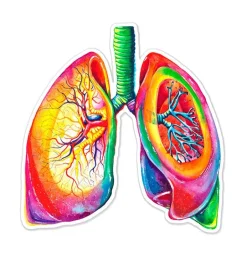 Sticker d'anatomie des poumons - Aquarelle
