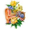 Sticker d'anatomie d'oreille - Floral