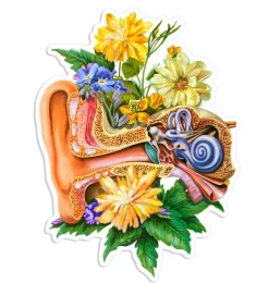 Sticker d'anatomie d'oreille - Floral