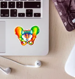 Sticker d'anatomie du bassin - Aquarelle