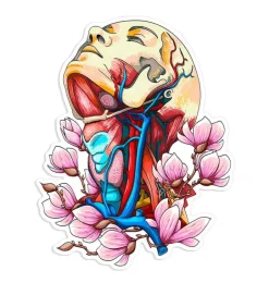 Sticker d'anatomie du cou - Floral