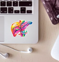 Sticker d'anatomie du foie - Aquarelle