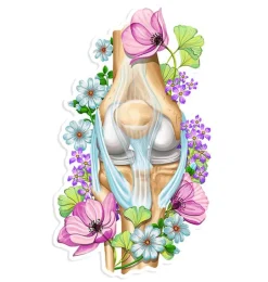 Sticker d'anatomie du genou - Floral