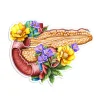 Sticker d'anatomie du pancréas - Floral