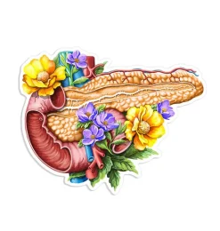 Sticker d'anatomie du pancréas - Floral