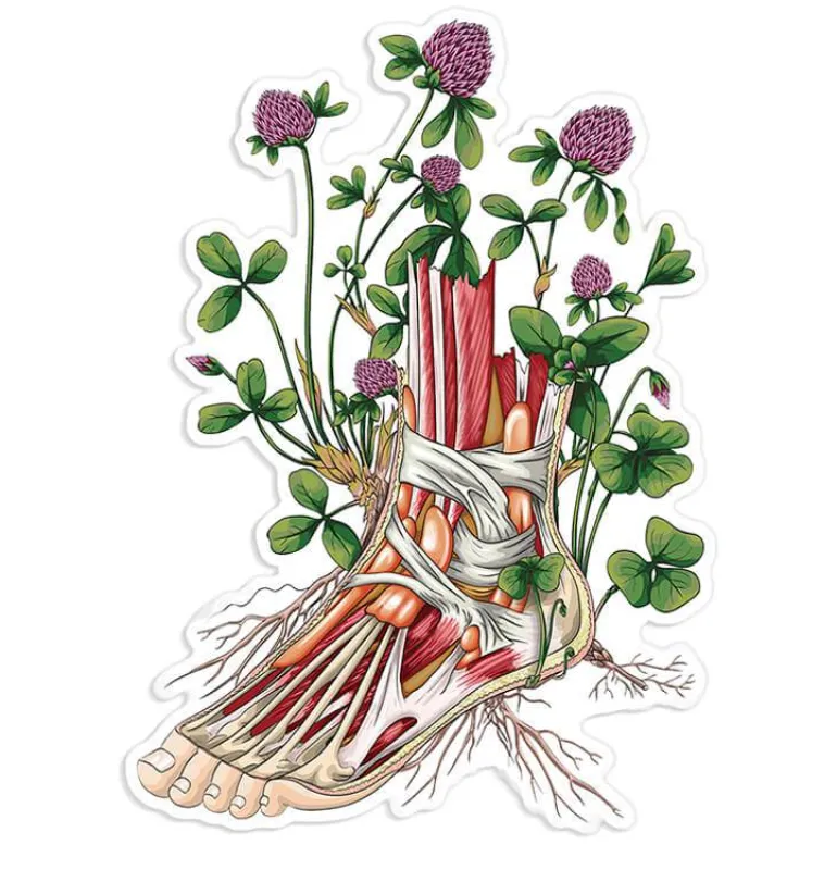 Sticker d'anatomie du pied II - Floral