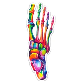 Sticker d'anatomie du pied - Aquarelle