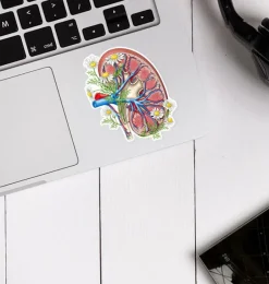 Sticker d'anatomie du rein II - Floral
