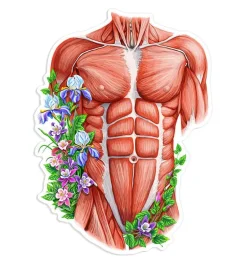 Sticker d'anatomie du torse masculin - Floral