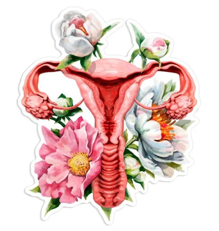 Sticker d'anatomie utérine - Floral