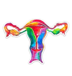 Sticker d'anatomie utérine - Aquarelle