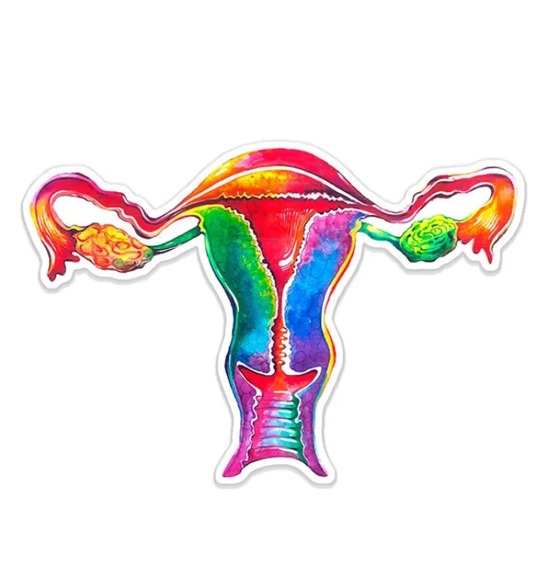 Sticker d'anatomie utérine - Aquarelle