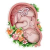 Sticker d'anatomie utérine - Floral