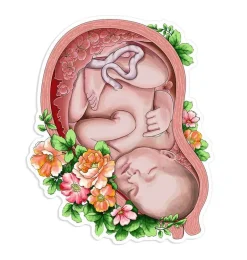 Sticker d'anatomie utérine - Floral