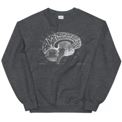 Sweat Unisexe Cerveau I - Chalkboard