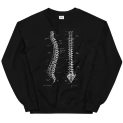 Sweat Unisexe Colonne Vertébrale - Chalkboard
