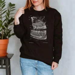 Sweat Unisexe Dentaire - Chalkboard