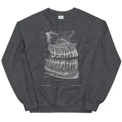 Sweat Unisexe Dentaire - Chalkboard