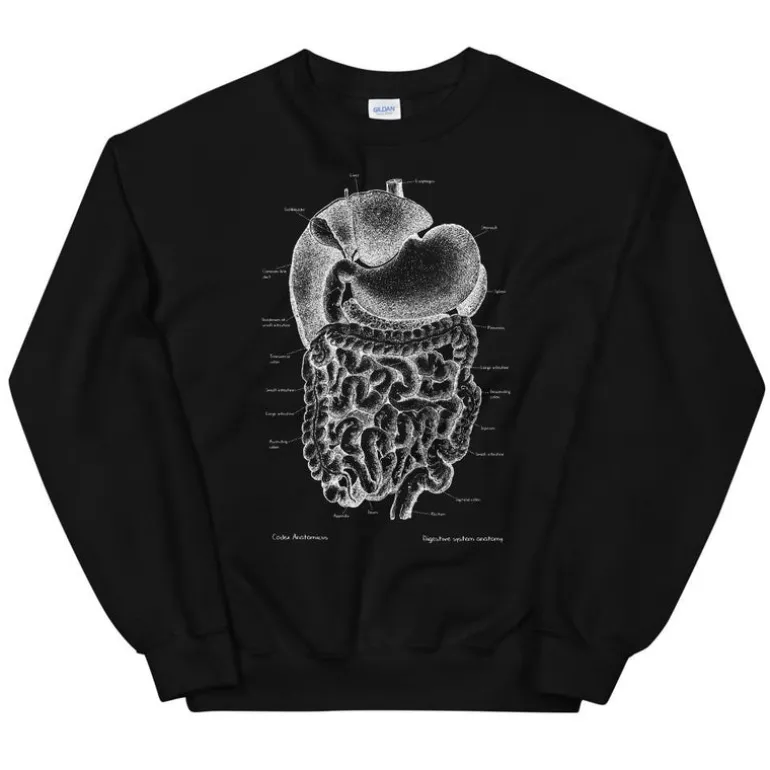 Sweat Unisexe Système Digestif - Chalkboard
