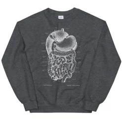 Sweat Unisexe Système Digestif - Chalkboard