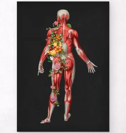 Système musculaire, vue arrière - Floral - Noir