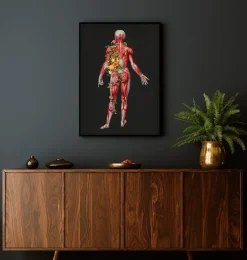 Système musculaire, vue arrière - Floral - Noir