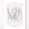 Système urinaire féminin - Line Art