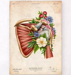 Tendinopathie - Floral - Vintage