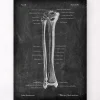 Tibia et fibula - Chalkboard