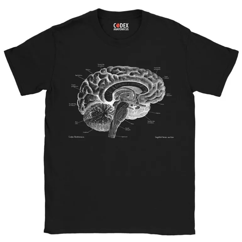 T-shirt Unisexe Cerveau - Chalkboard