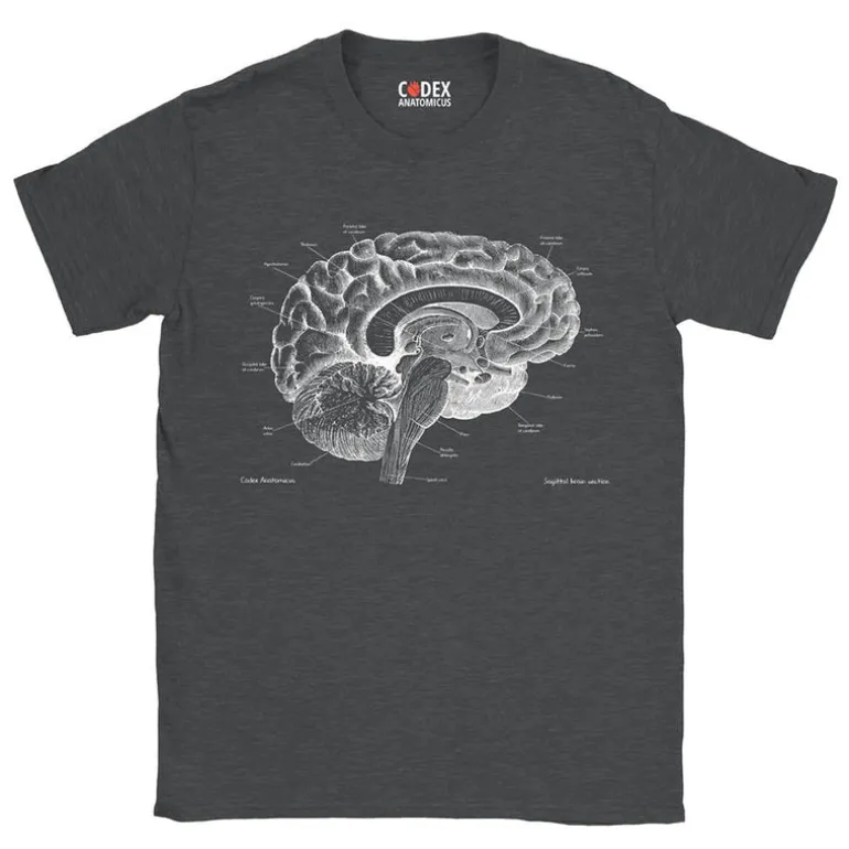 T-shirt Unisexe Cerveau - Chalkboard