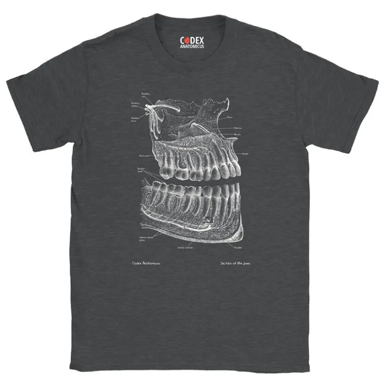 T-shirt Unisexe Dentaire - Chalkboard