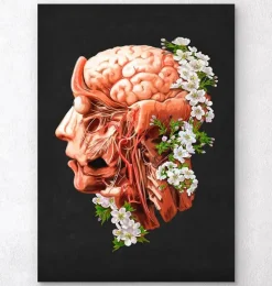 Tête, cerveau et artères - Floral - Noir