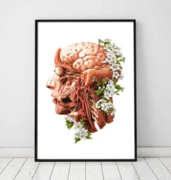 Tête, cerveau et artères - Floral - Blanc
