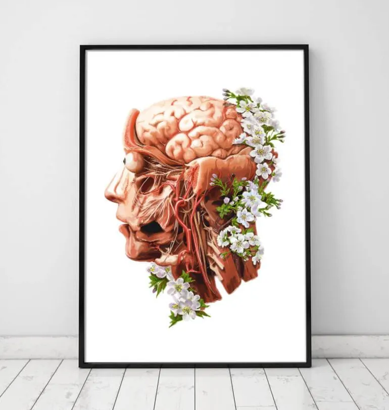 Tête, cerveau et artères - Floral - Blanc