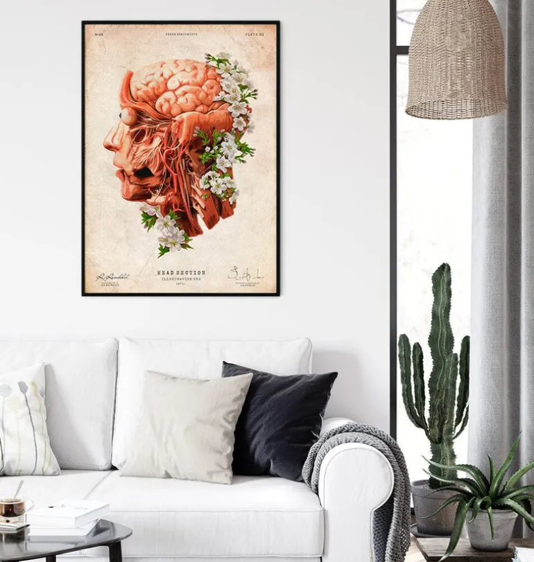 Tête, cerveau et artères - Floral - Vieux papier