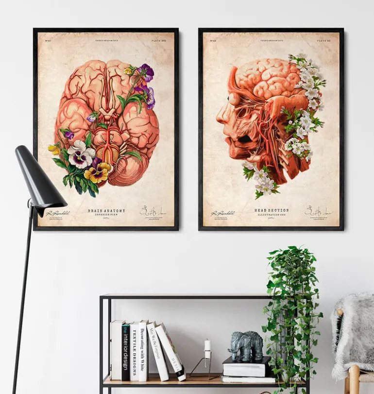 Tête, cerveau et artères - Floral - Vieux papier