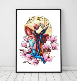 Tête, cou et artères - Anatomie florale