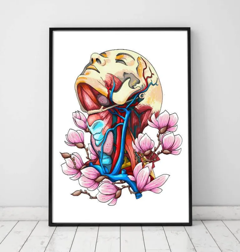 Tête, cou et artères - Anatomie florale