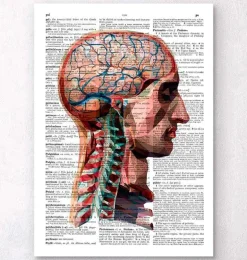 Tête et cerveau - Page du dictionnaire