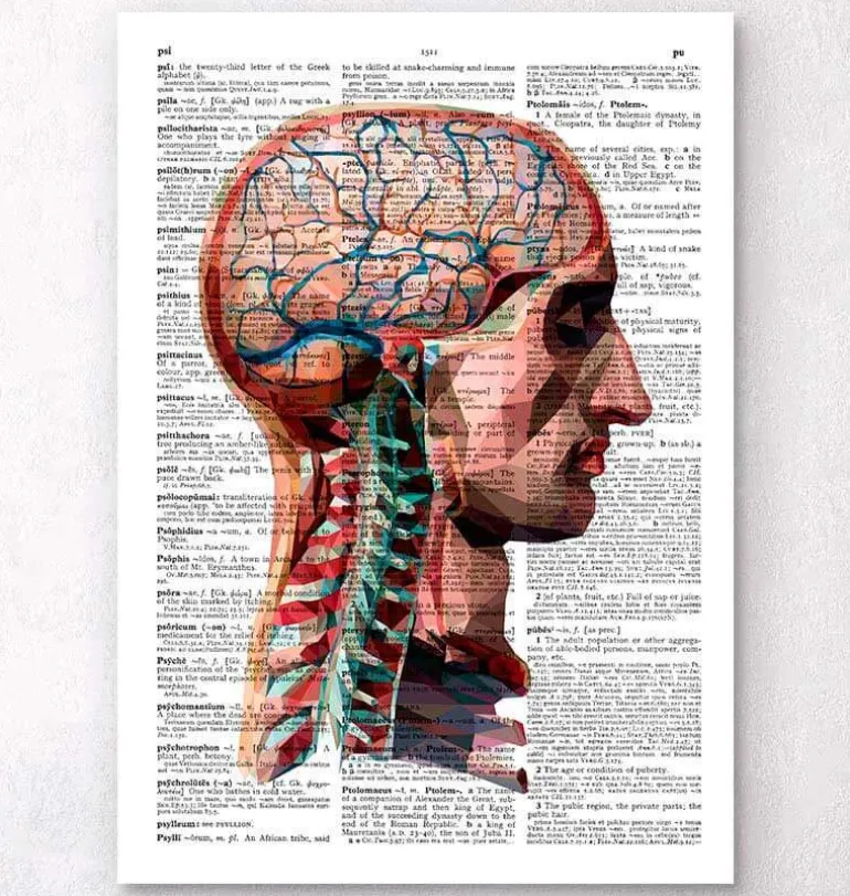 Tête et cerveau - Page du dictionnaire