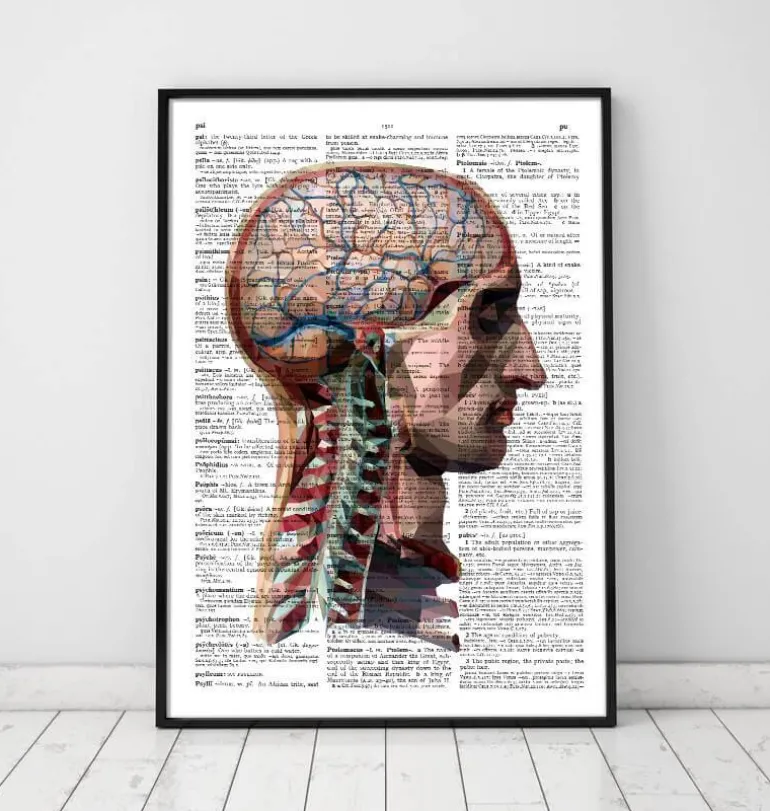 Tête et cerveau - Page du dictionnaire