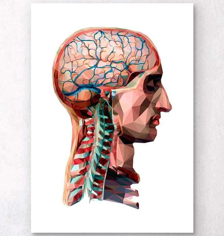 Tête et cerveau géométriques