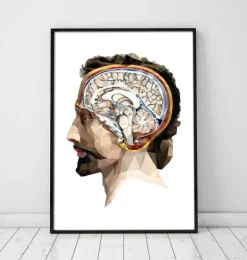 Tête et cerveau géométriques II