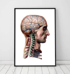 Tête et cerveau géométriques