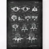 Types de vertèbres - Chalkboard