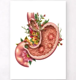 Ulcère gastrique - Floral - Blanc