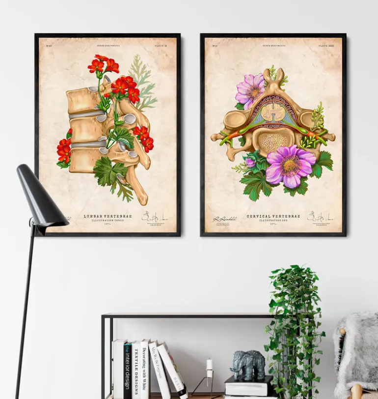 Vertèbre cervicale - Floral - Vintage