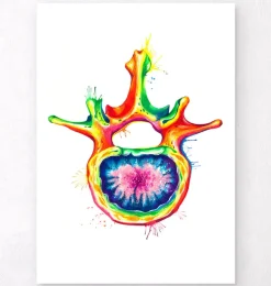 Vertèbre lombaire - Aquarelle
