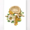 Vertèbre lombaire - Floral - Blanc
